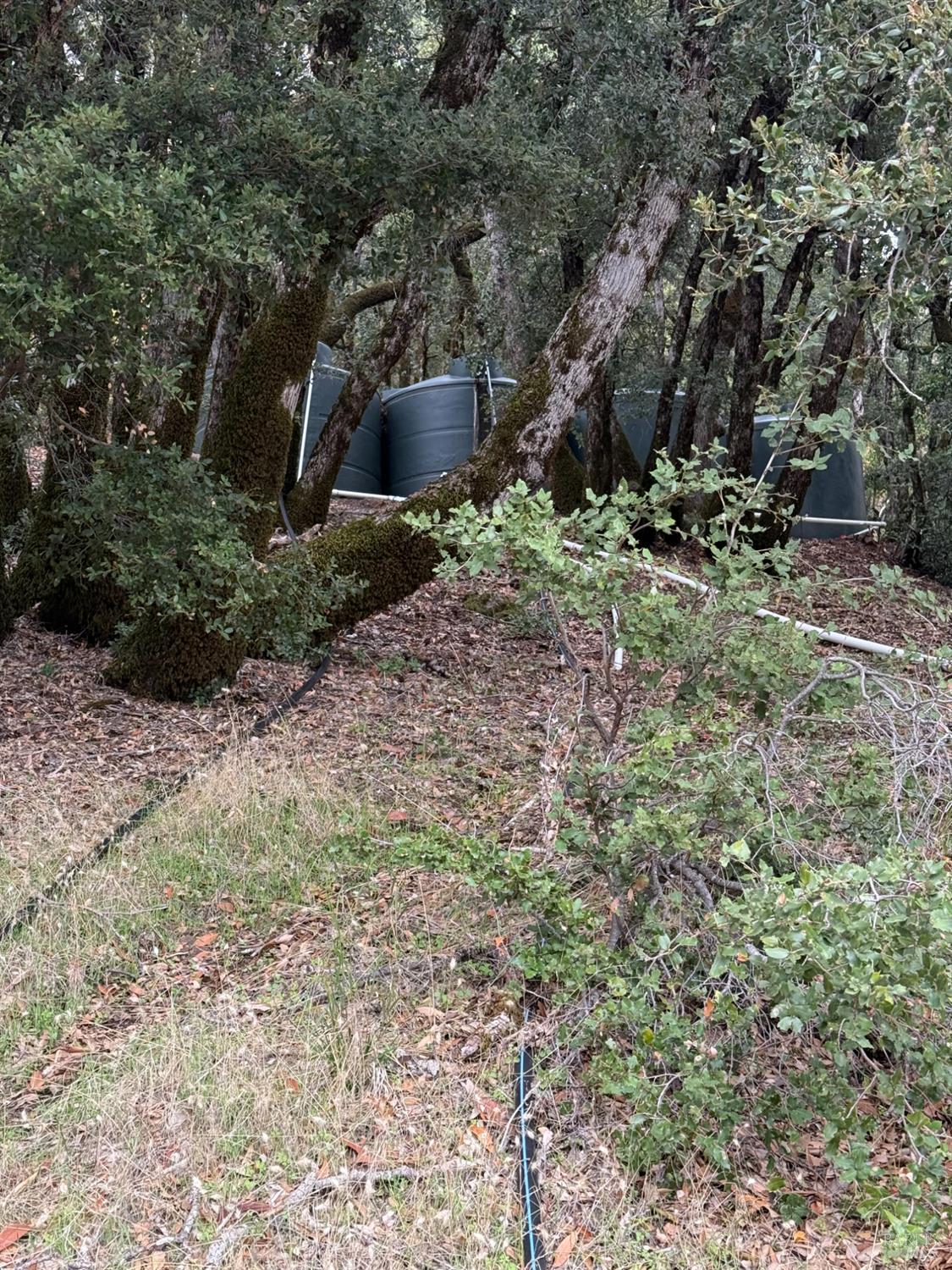 Detail Gallery Image 38 of 42 For 6565 Spyrock Rd, Laytonville,  CA 95454 - 2 Beds | 1 Baths