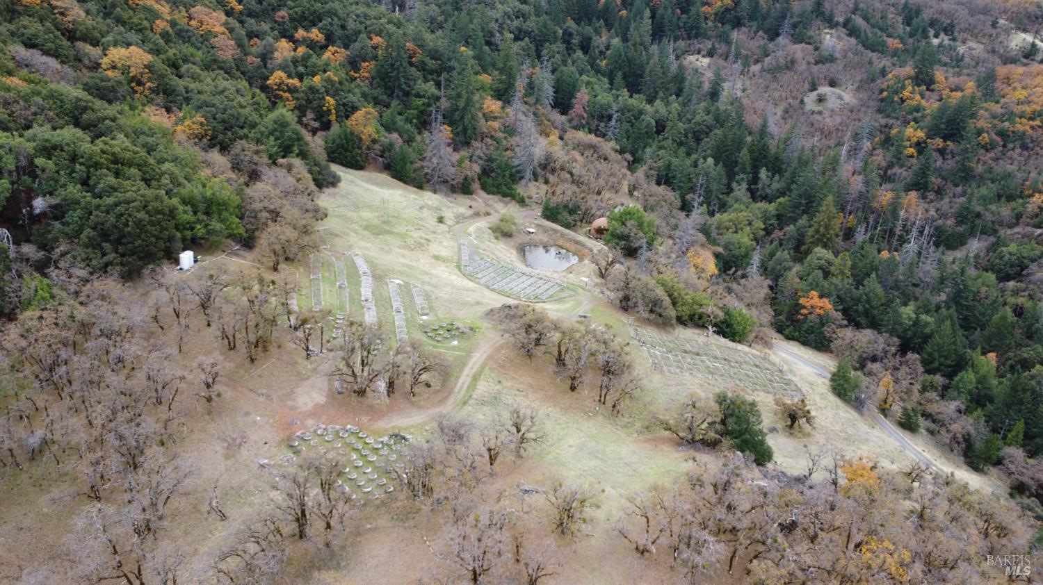 Detail Gallery Image 26 of 42 For 6565 Spyrock Rd, Laytonville,  CA 95454 - 2 Beds | 1 Baths