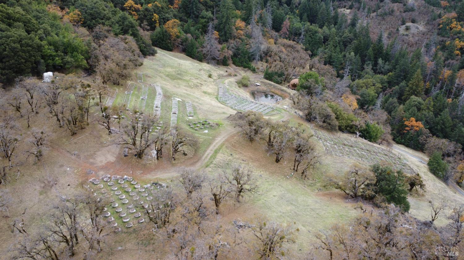 Detail Gallery Image 25 of 42 For 6565 Spyrock Rd, Laytonville,  CA 95454 - 2 Beds | 1 Baths