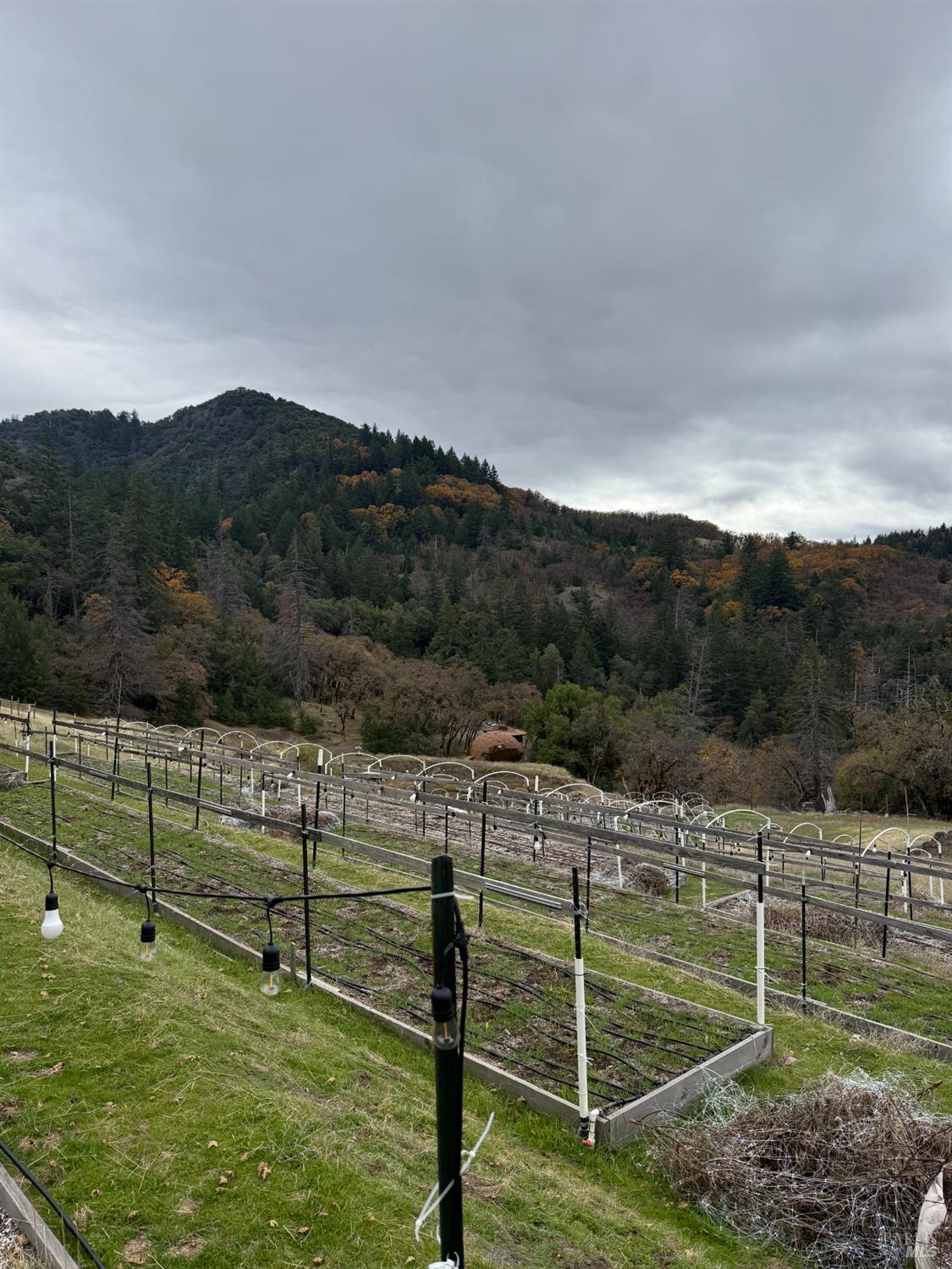 Detail Gallery Image 35 of 42 For 6565 Spyrock Rd, Laytonville,  CA 95454 - 2 Beds | 1 Baths