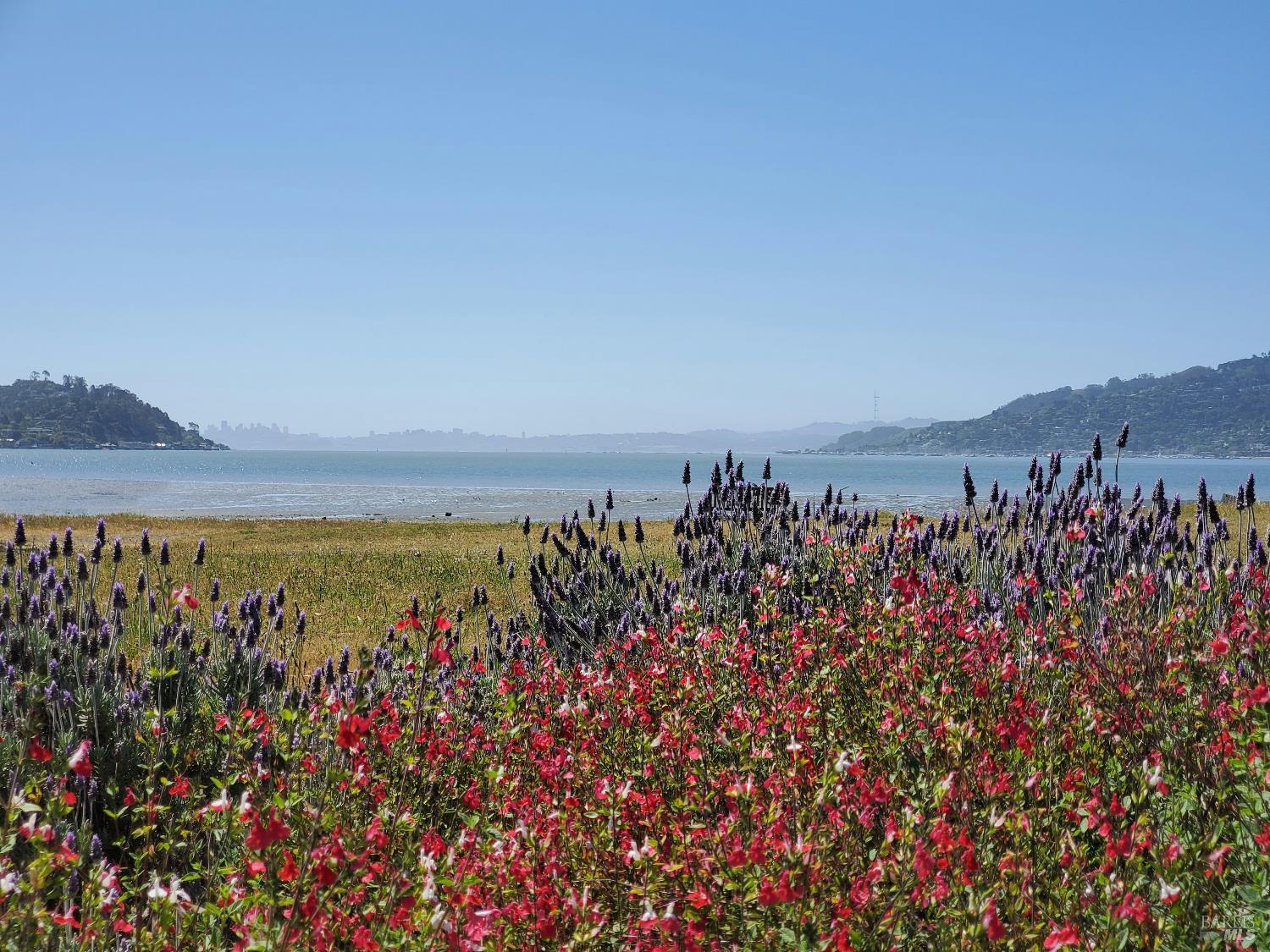 Detail Gallery Image 75 of 75 For 125 Belvedere Ave, Belvedere,  CA 94920 - 5 Beds | 5/5 Baths