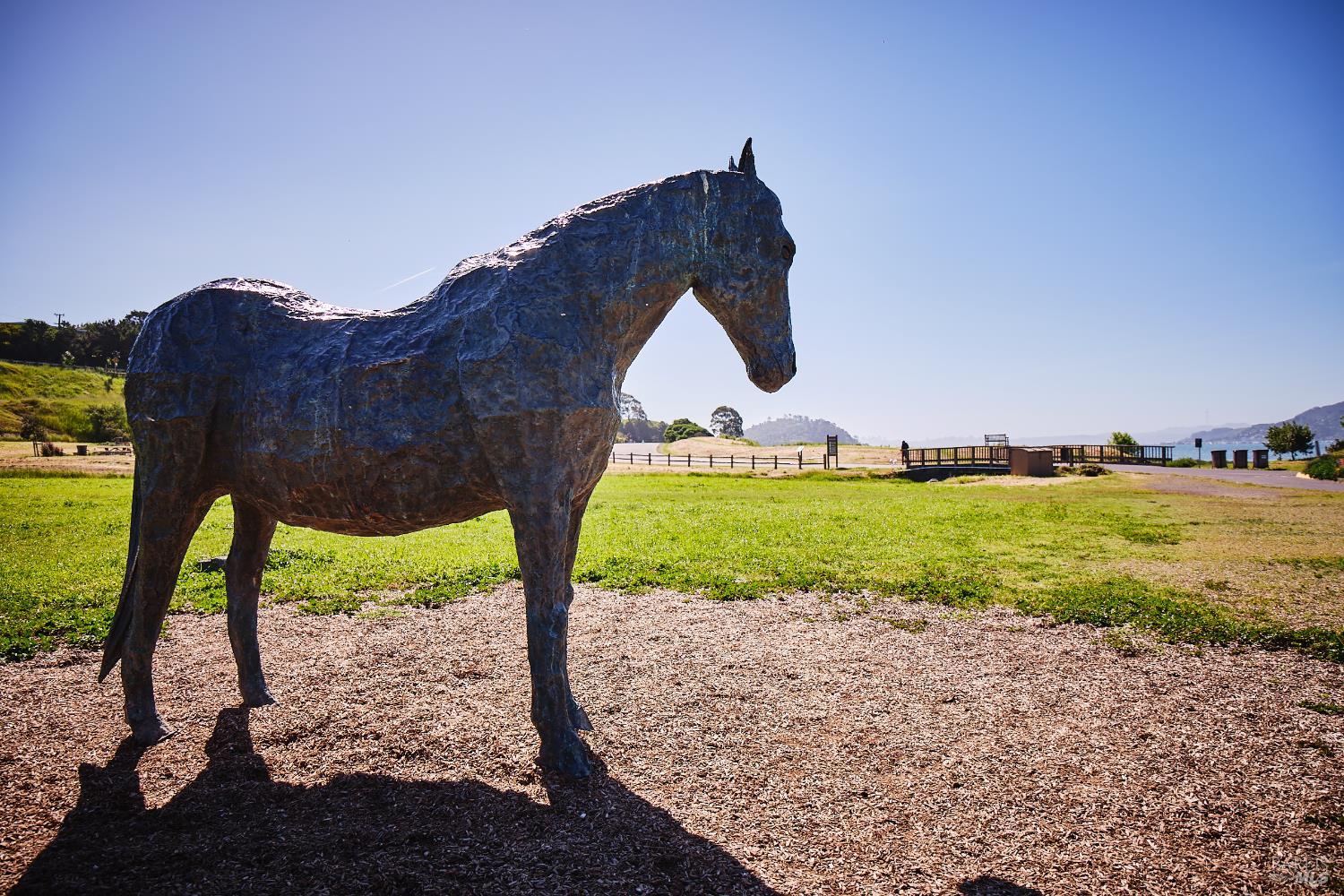 Detail Gallery Image 72 of 75 For 125 Belvedere Ave, Belvedere,  CA 94920 - 5 Beds | 5/5 Baths