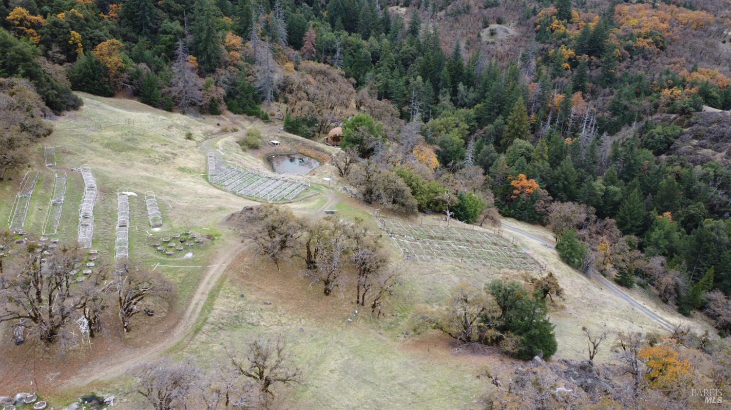 Detail Gallery Image 3 of 42 For 6565 Spyrock Rd, Laytonville,  CA 95454 - 2 Beds | 1 Baths