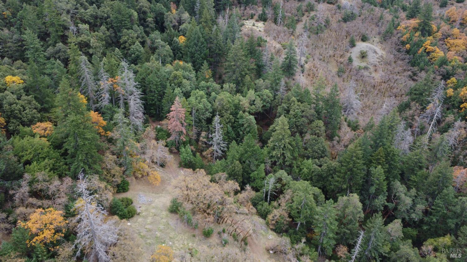 Detail Gallery Image 40 of 42 For 6565 Spyrock Rd, Laytonville,  CA 95454 - 2 Beds | 1 Baths