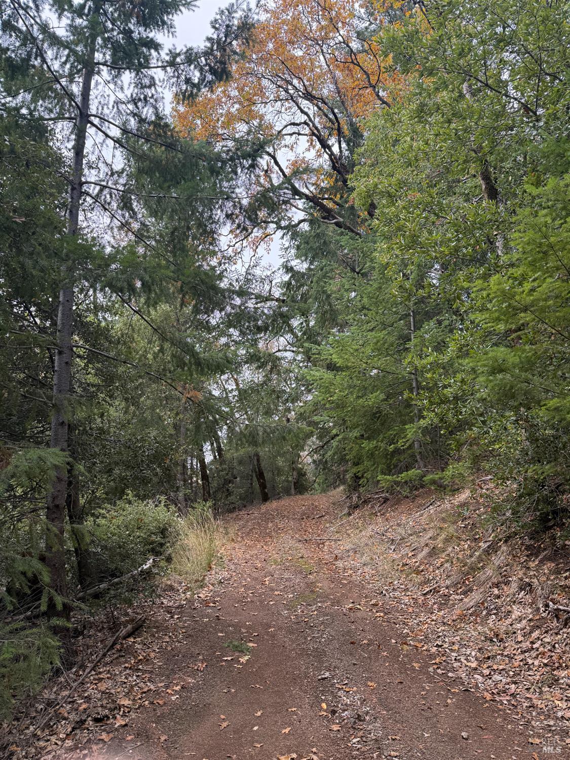 Detail Gallery Image 32 of 42 For 6565 Spyrock Rd, Laytonville,  CA 95454 - 2 Beds | 1 Baths