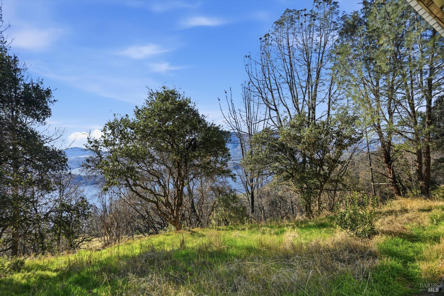 Detail Gallery Image 18 of 22 For 11651 Cerrito Dr, Clearlake Oaks,  CA 95423 - 1 Beds | 1 Baths