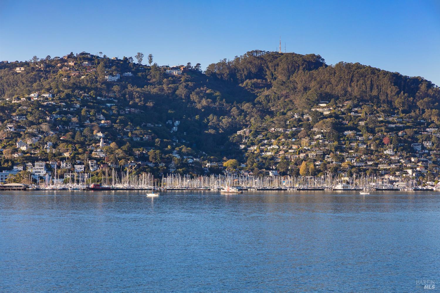 Detail Gallery Image 43 of 75 For 125 Belvedere Ave, Belvedere,  CA 94920 - 5 Beds | 5/5 Baths