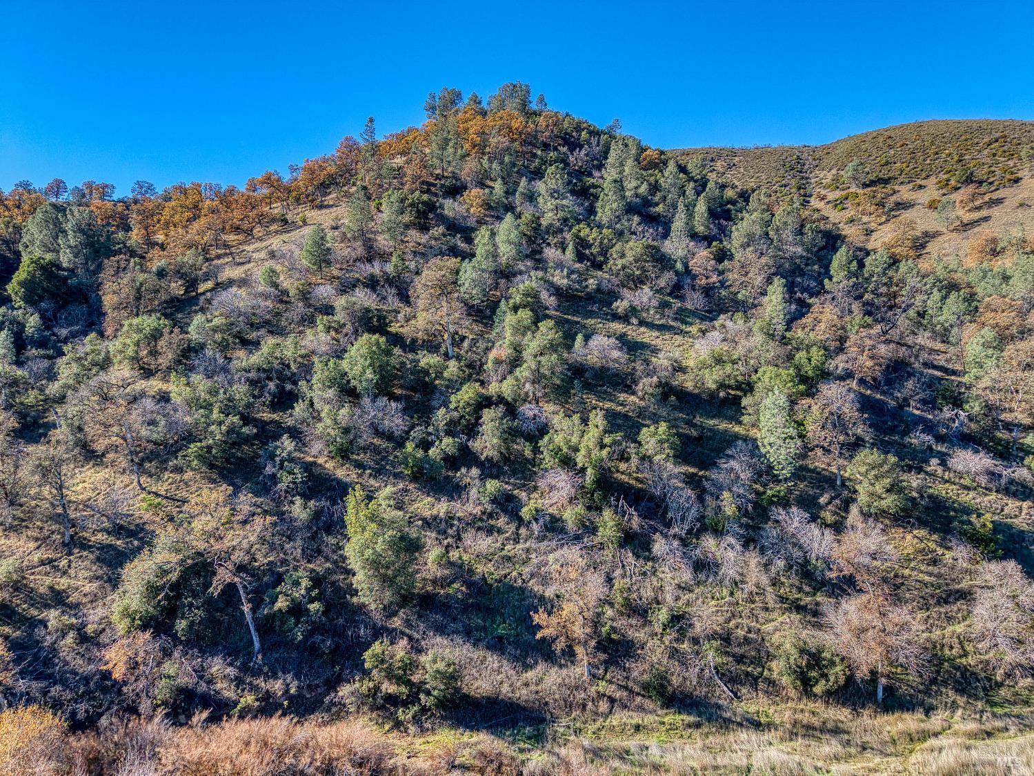 Detail Gallery Image 42 of 68 For 1633 New Long Valley Rd, Clearlake Oaks,  CA 95423 - 3 Beds | 2 Baths