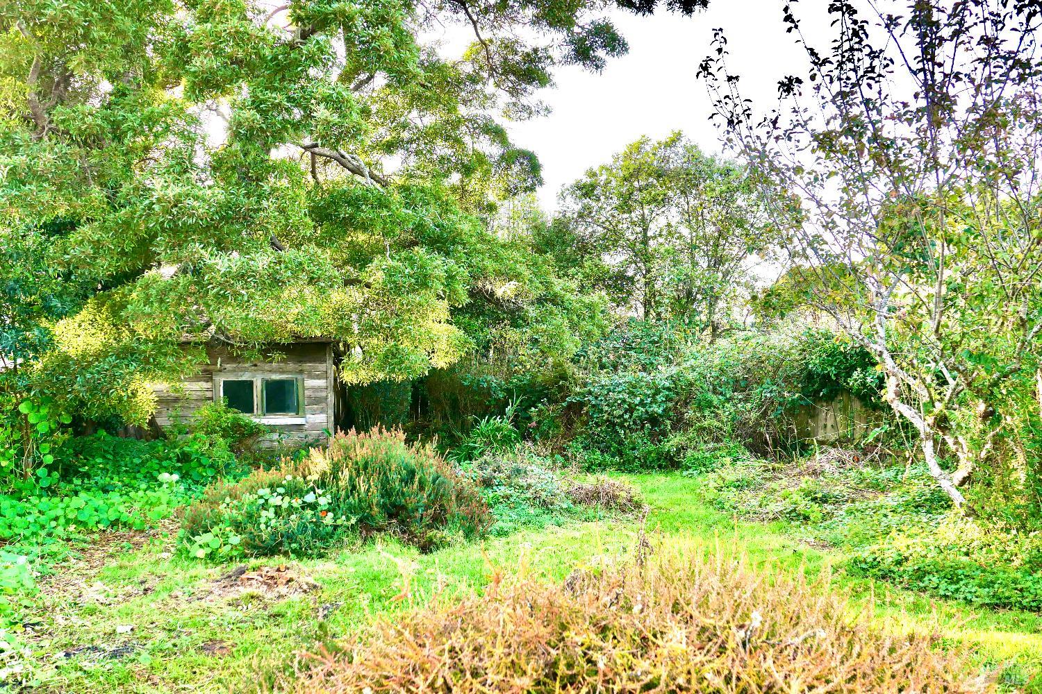 Detail Gallery Image 5 of 29 For 137 Olsen Ln, Fort Bragg,  CA 95437 - 2 Beds | 1 Baths