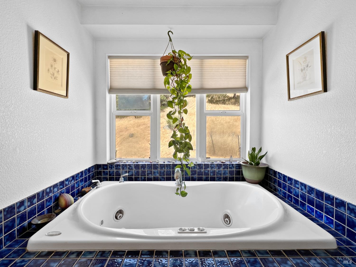 Detail Gallery Image 8 of 12 For 8800 Cave Creek Rd, Redwood Valley,  CA 95470 - 2 Beds | 2 Baths