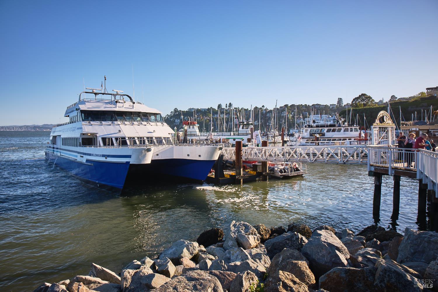 Detail Gallery Image 71 of 75 For 125 Belvedere Ave, Belvedere,  CA 94920 - 5 Beds | 5/5 Baths