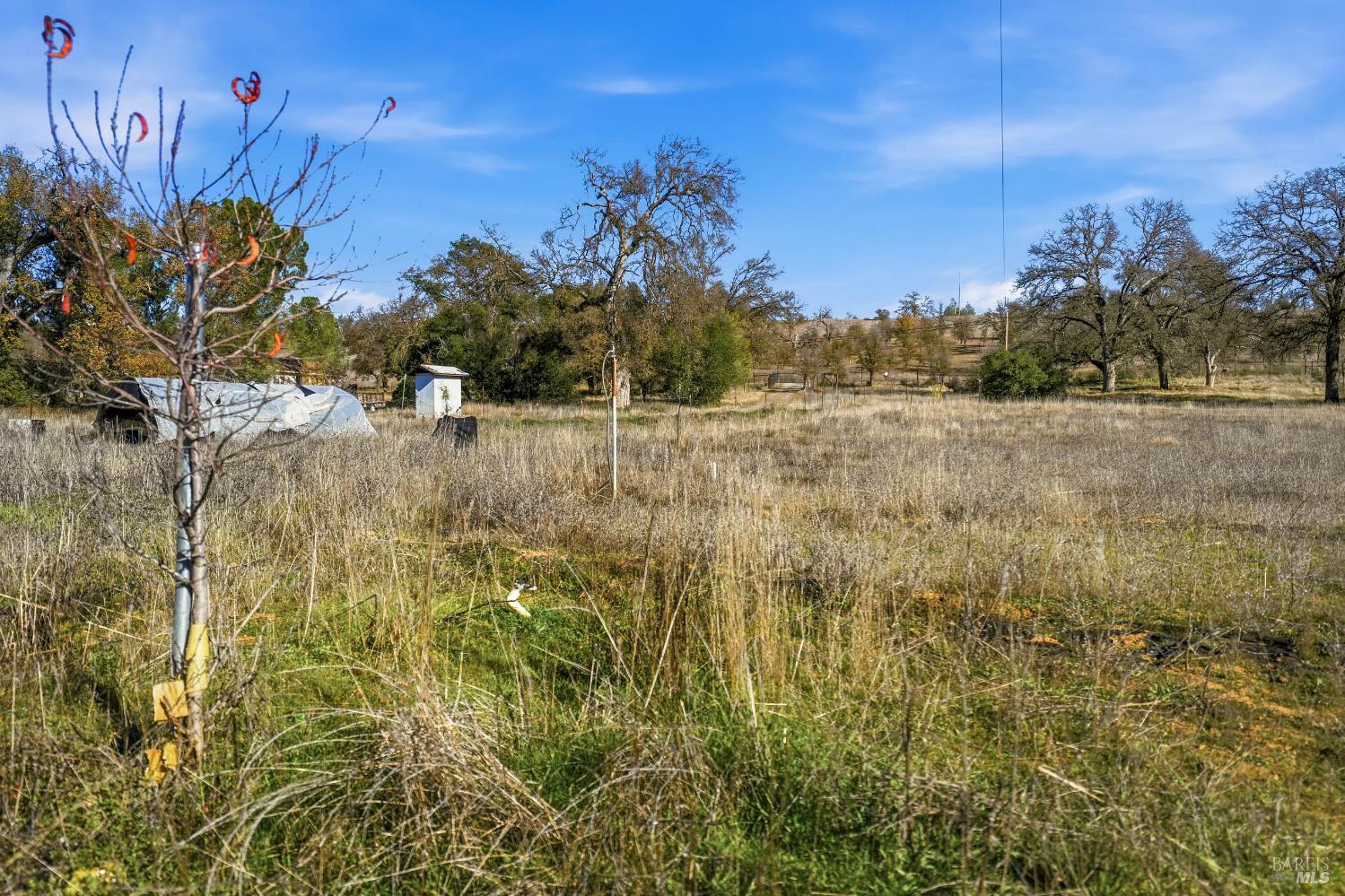 Detail Gallery Image 36 of 68 For 1633 New Long Valley Rd, Clearlake Oaks,  CA 95423 - 3 Beds | 2 Baths