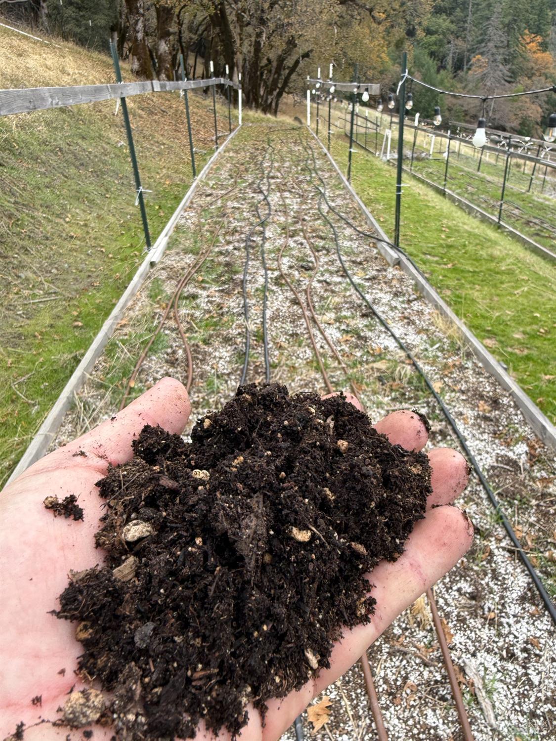 Detail Gallery Image 34 of 42 For 6565 Spyrock Rd, Laytonville,  CA 95454 - 2 Beds | 1 Baths