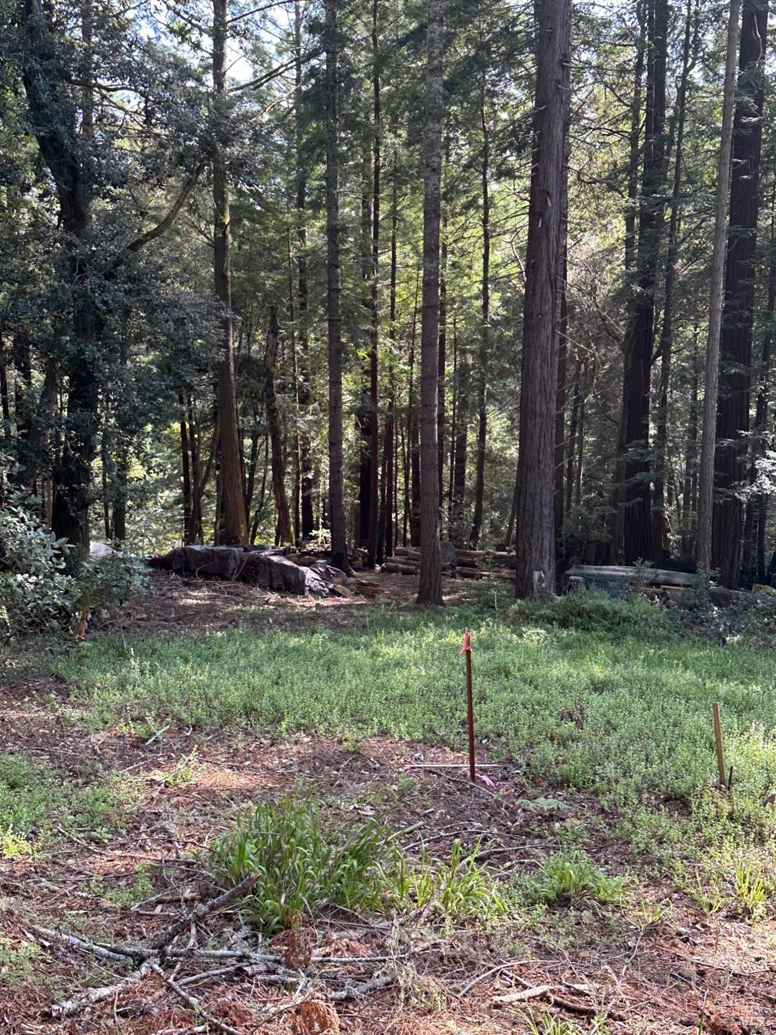 Detail Gallery Image 11 of 11 For 22051 Rust Dr, Timber Cove,  CA 95450 - – Beds | – Baths