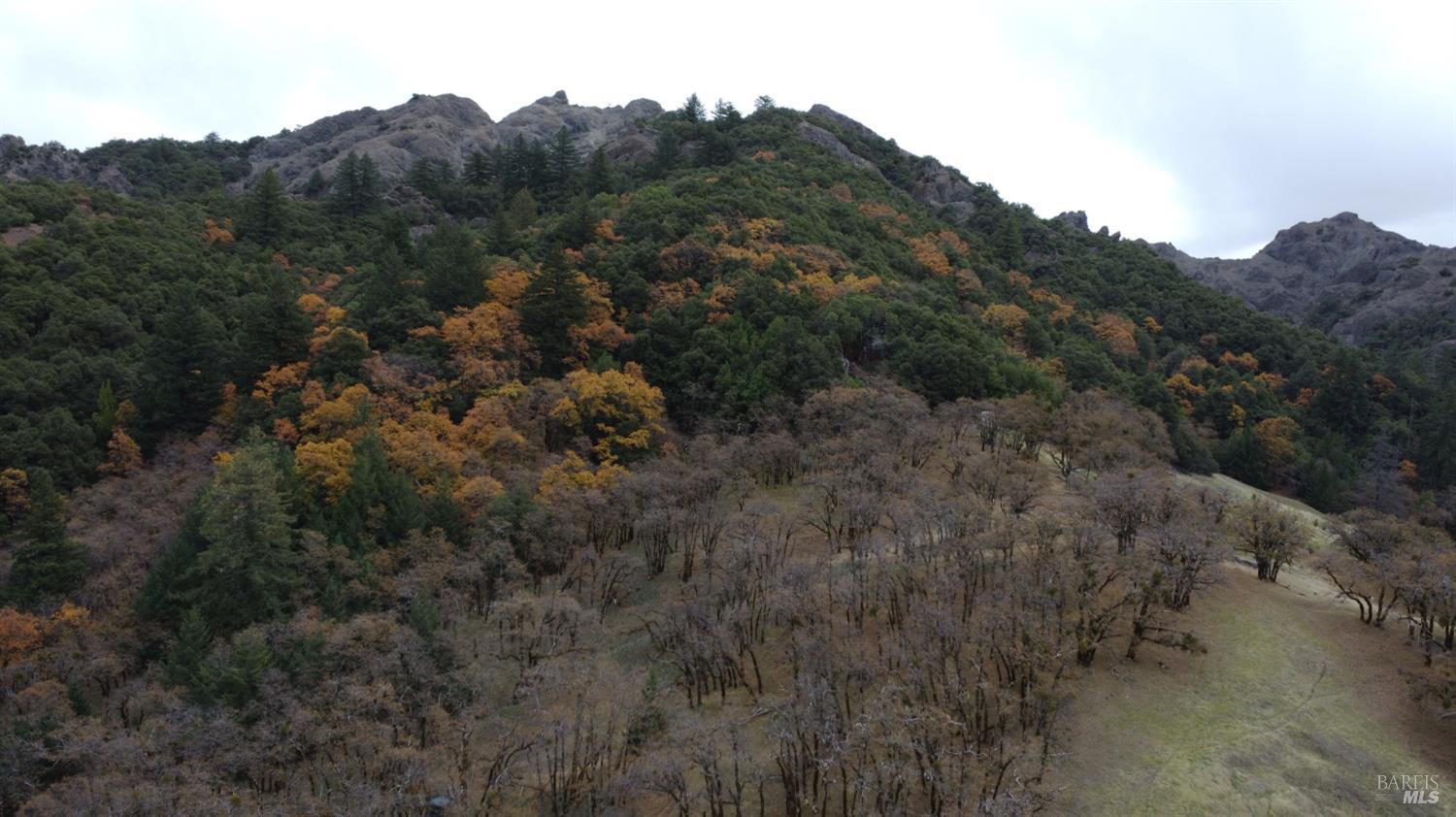 Detail Gallery Image 39 of 42 For 6565 Spyrock Rd, Laytonville,  CA 95454 - 2 Beds | 1 Baths