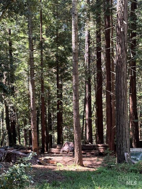 Detail Gallery Image 4 of 11 For 22051 Rust Dr, Timber Cove,  CA 95450 - – Beds | – Baths