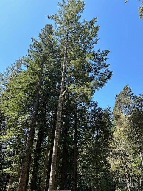 Detail Gallery Image 2 of 11 For 22051 Rust Dr, Timber Cove,  CA 95450 - – Beds | – Baths