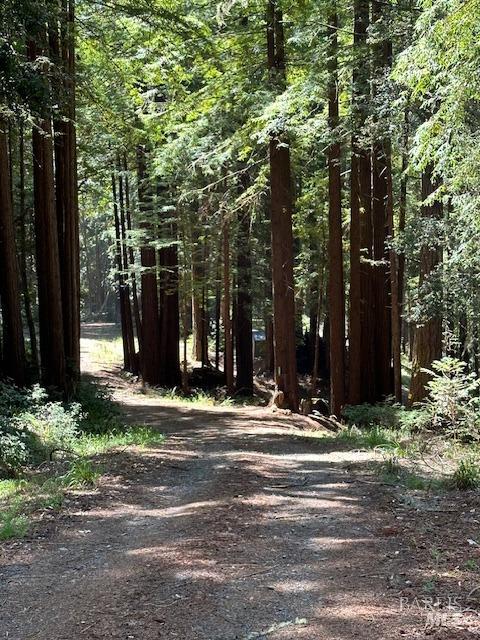 Front Image Thumbnail for BA325101532