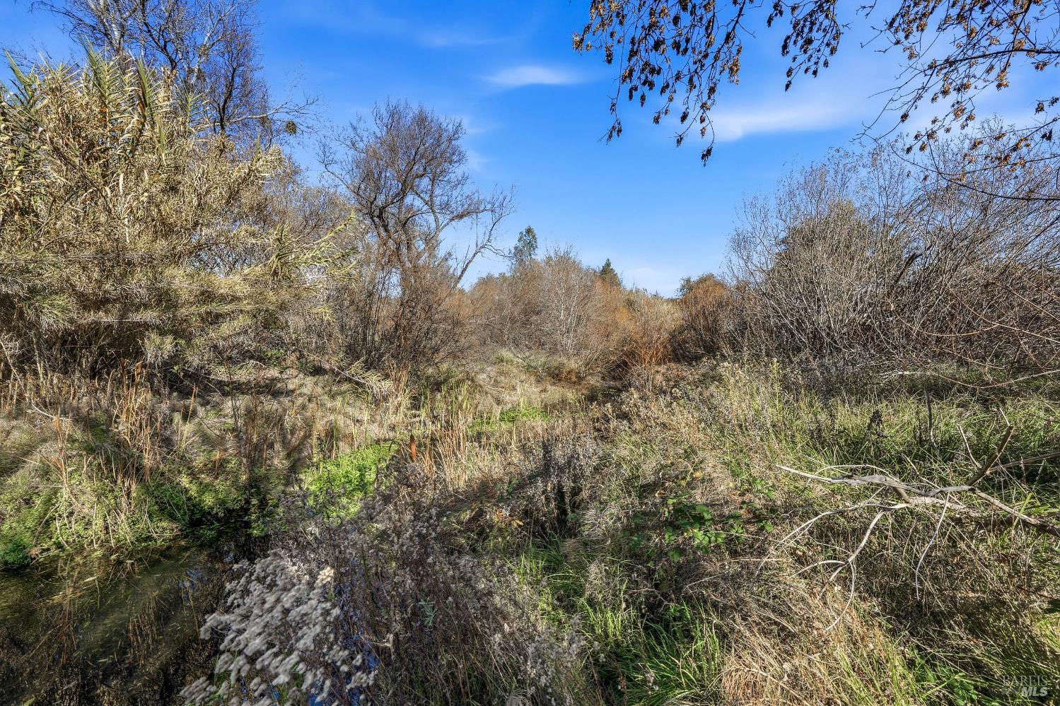 Detail Gallery Image 39 of 68 For 1633 New Long Valley Rd, Clearlake Oaks,  CA 95423 - 3 Beds | 2 Baths