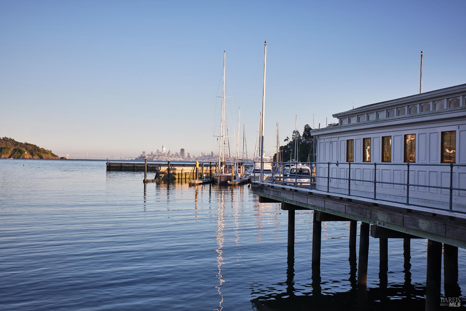 Detail Gallery Image 73 of 75 For 125 Belvedere Ave, Belvedere,  CA 94920 - 5 Beds | 5/5 Baths