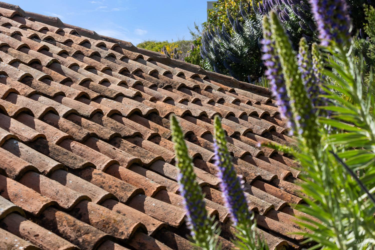 Detail Gallery Image 54 of 75 For 125 Belvedere Ave, Belvedere,  CA 94920 - 5 Beds | 5/5 Baths