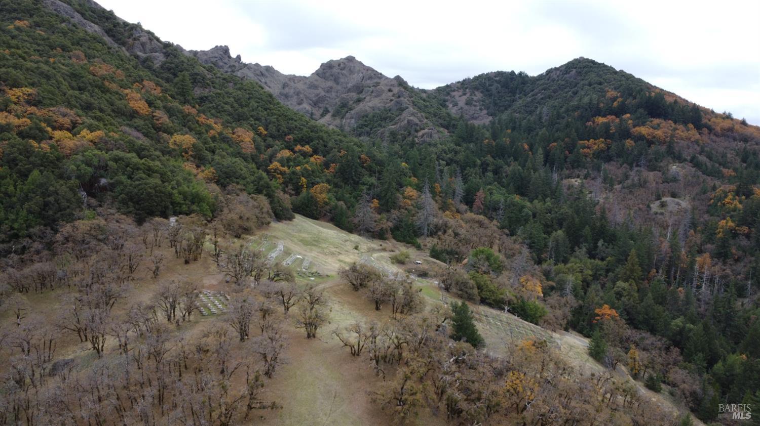 Detail Gallery Image 24 of 42 For 6565 Spyrock Rd, Laytonville,  CA 95454 - 2 Beds | 1 Baths