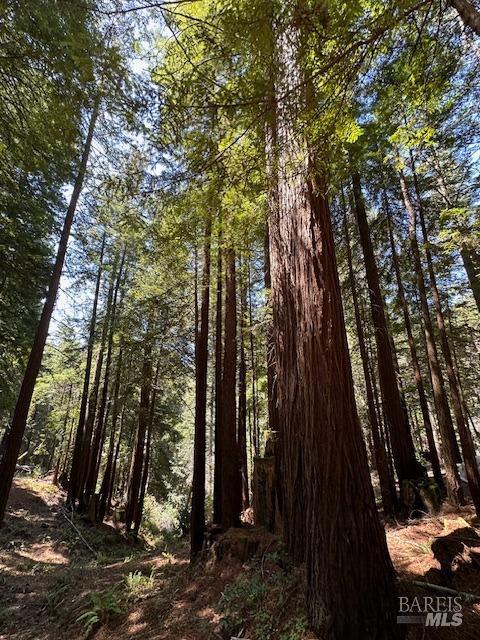 Detail Gallery Image 5 of 11 For 22051 Rust Dr, Timber Cove,  CA 95450 - – Beds | – Baths