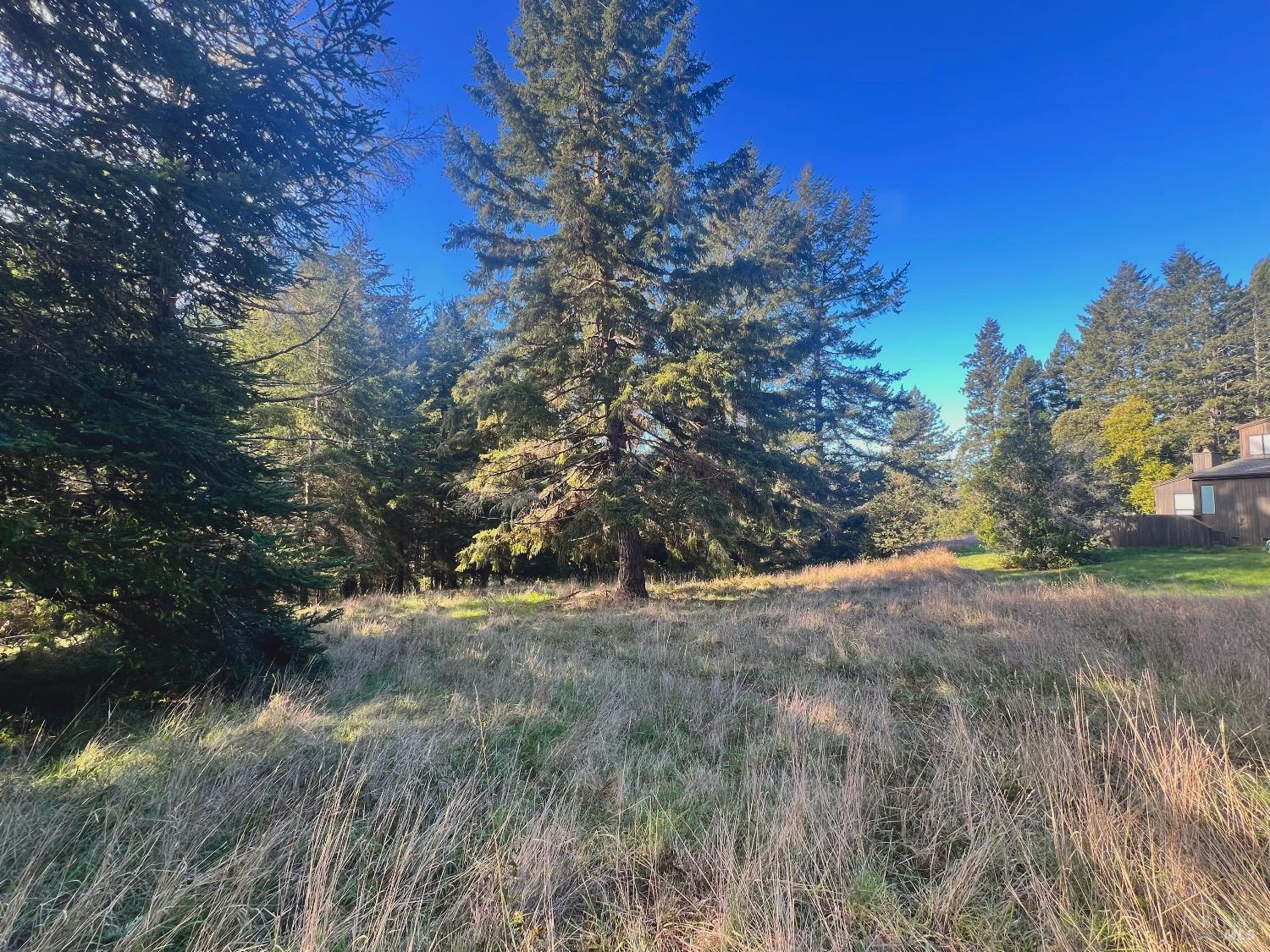 Detail Gallery Image 3 of 9 For 38065 Foothill Close Unkn, The Sea Ranch,  CA 95497 - – Beds | – Baths