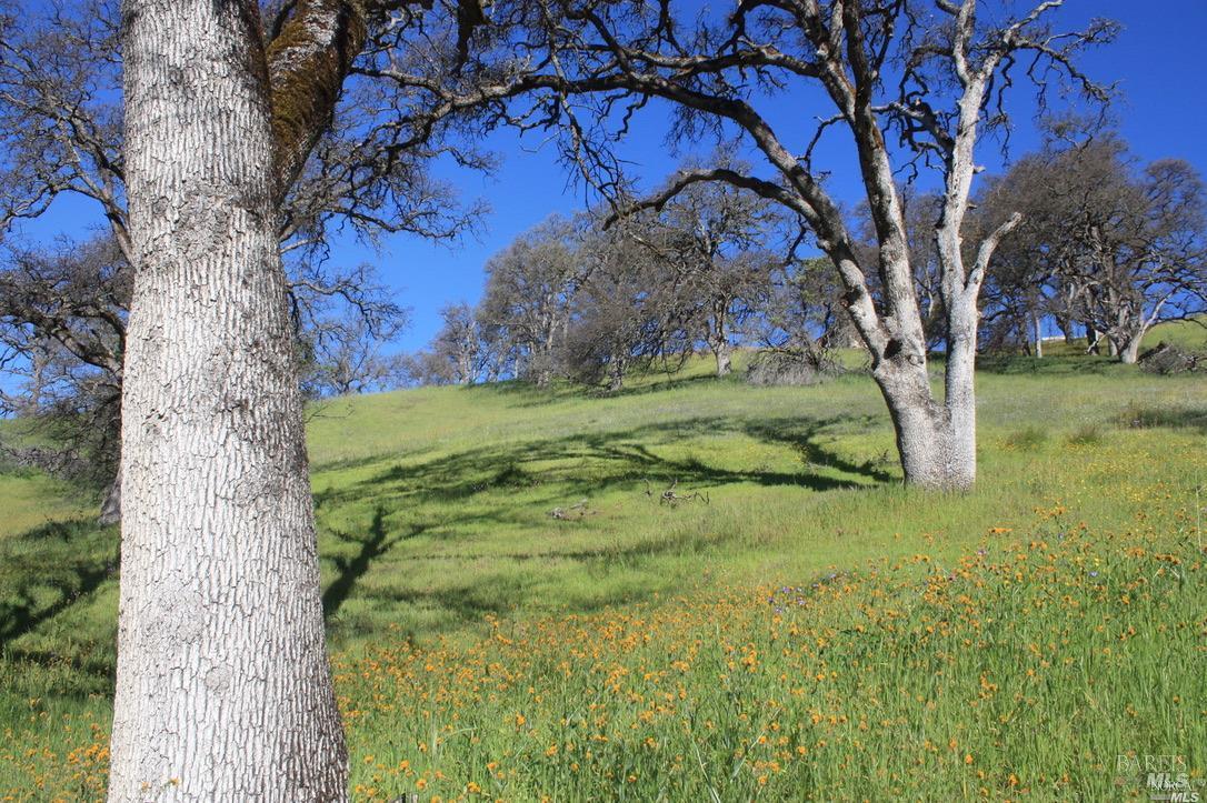 Detail Gallery Image 6 of 8 For 315 Diane Ct, Lucerne,  CA 95458 - – Beds | – Baths