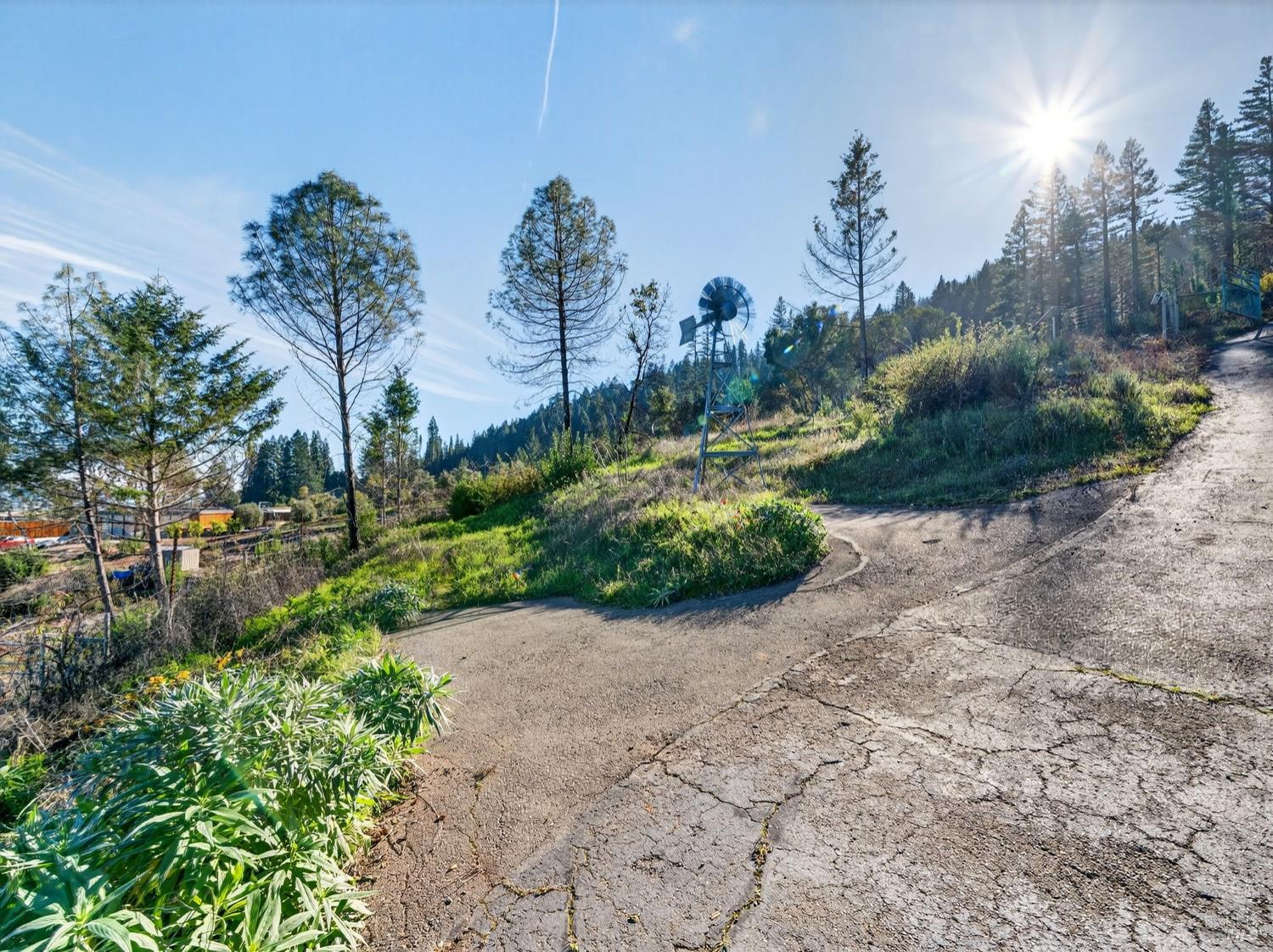 Detail Gallery Image 11 of 22 For 8201 W Dry Creek Rd, Healdsburg,  CA 95448 - – Beds | – Baths