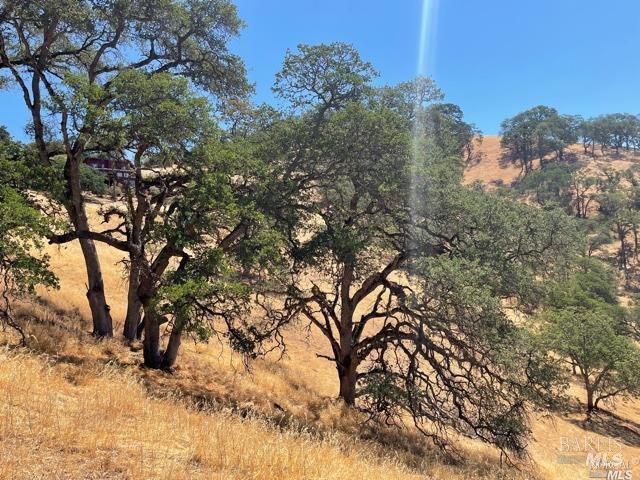 Detail Gallery Image 8 of 8 For 315 Diane Ct, Lucerne,  CA 95458 - – Beds | – Baths