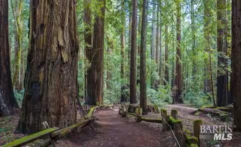 Detail Gallery Image 2 of 16 For 4290 Cazadero Hwy, Cazadero,  CA 95421 - 2 Beds | 1 Baths