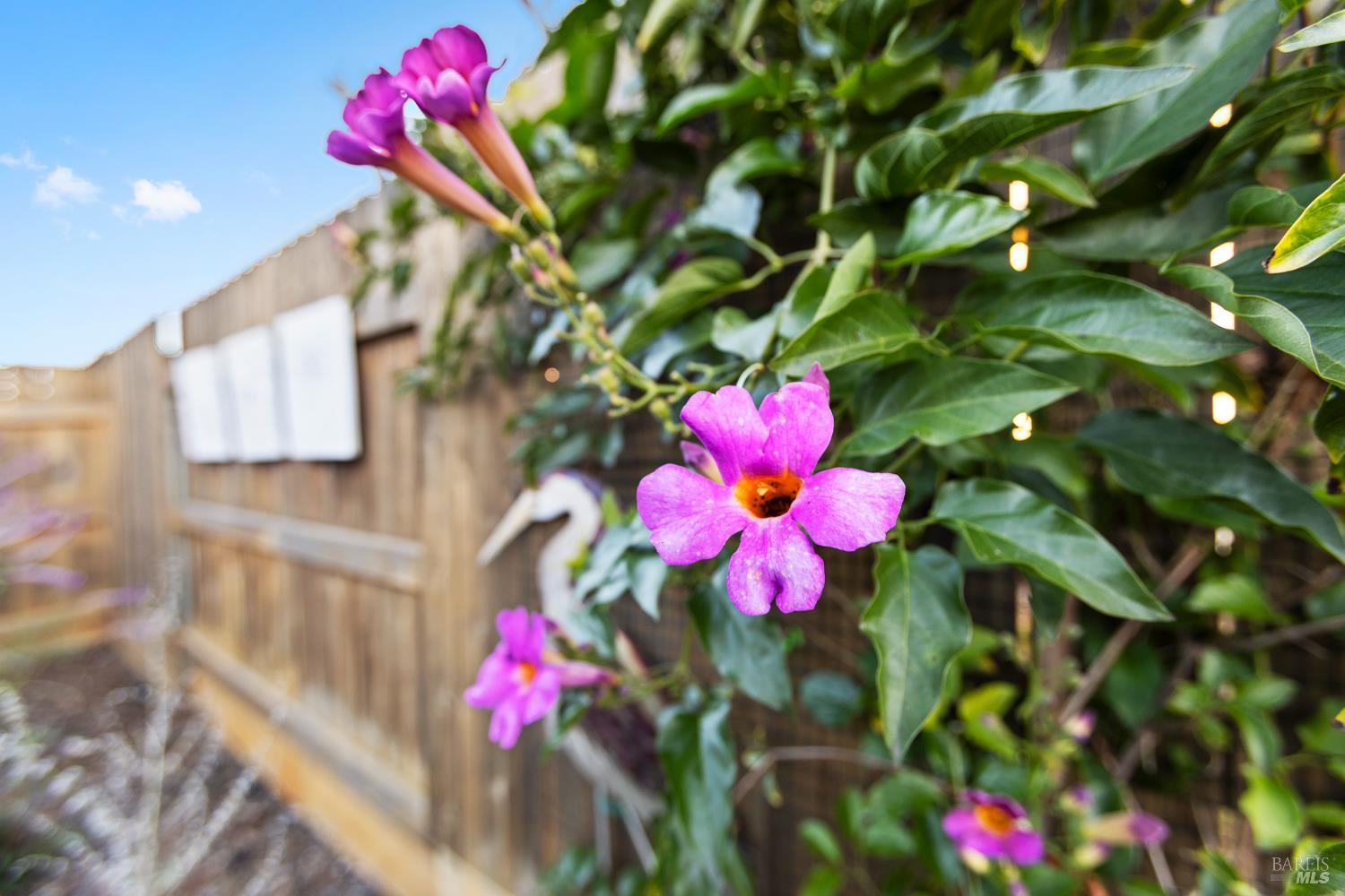 Detail Gallery Image 7 of 40 For 2080 Revival Ln, Rio Vista,  CA 94571 - 3 Beds | 2 Baths