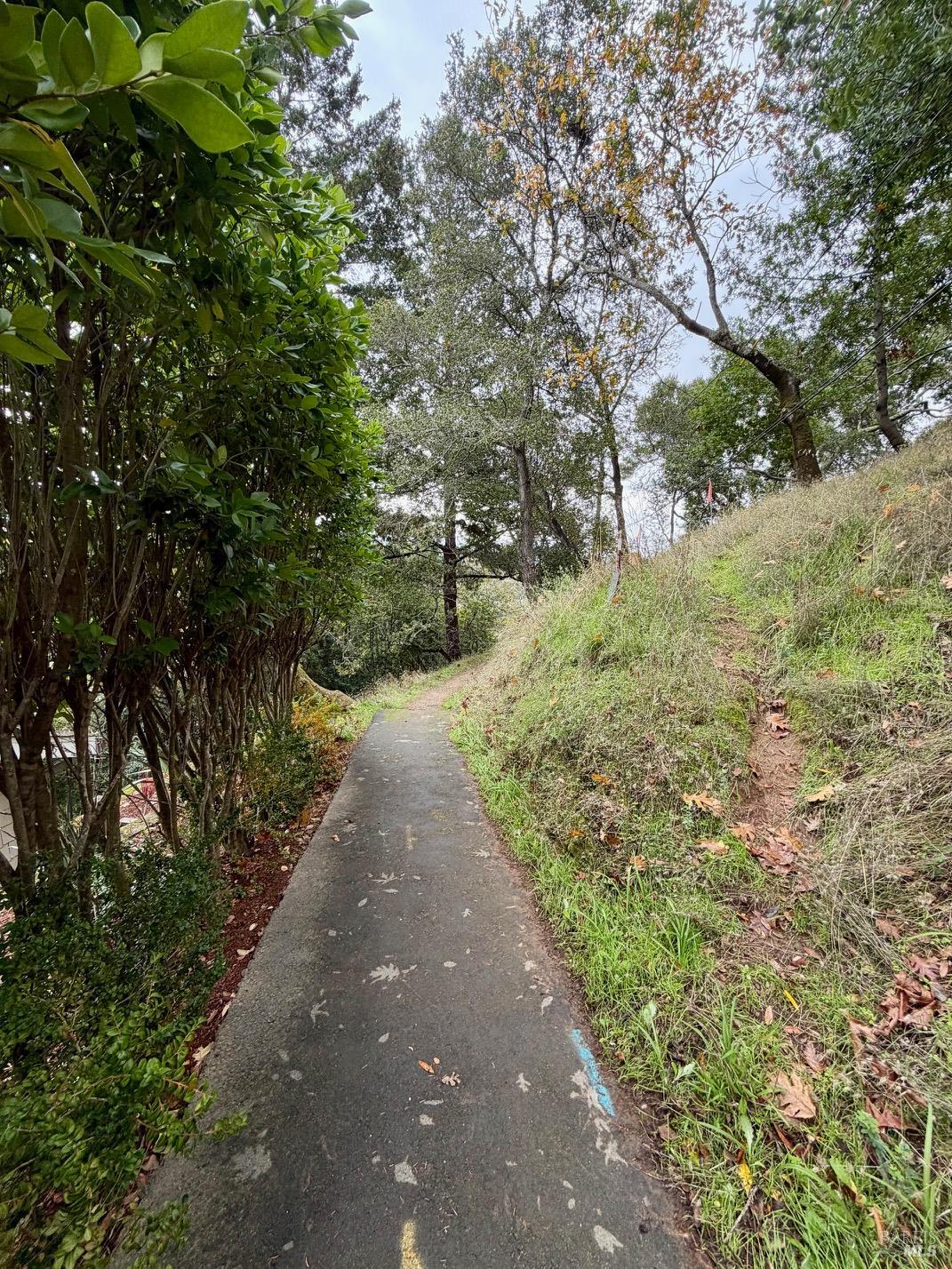 Detail Gallery Image 46 of 49 For 51 Berry Trl, Fairfax,  CA 94930 - 3 Beds | 2 Baths