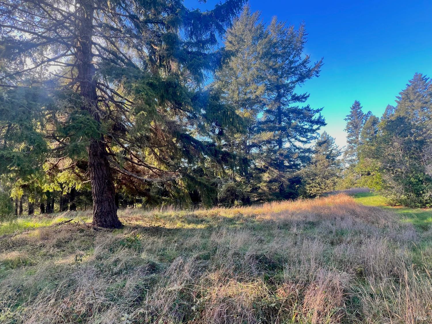 Detail Gallery Image 2 of 9 For 38065 Foothill Close Unkn, The Sea Ranch,  CA 95497 - – Beds | – Baths