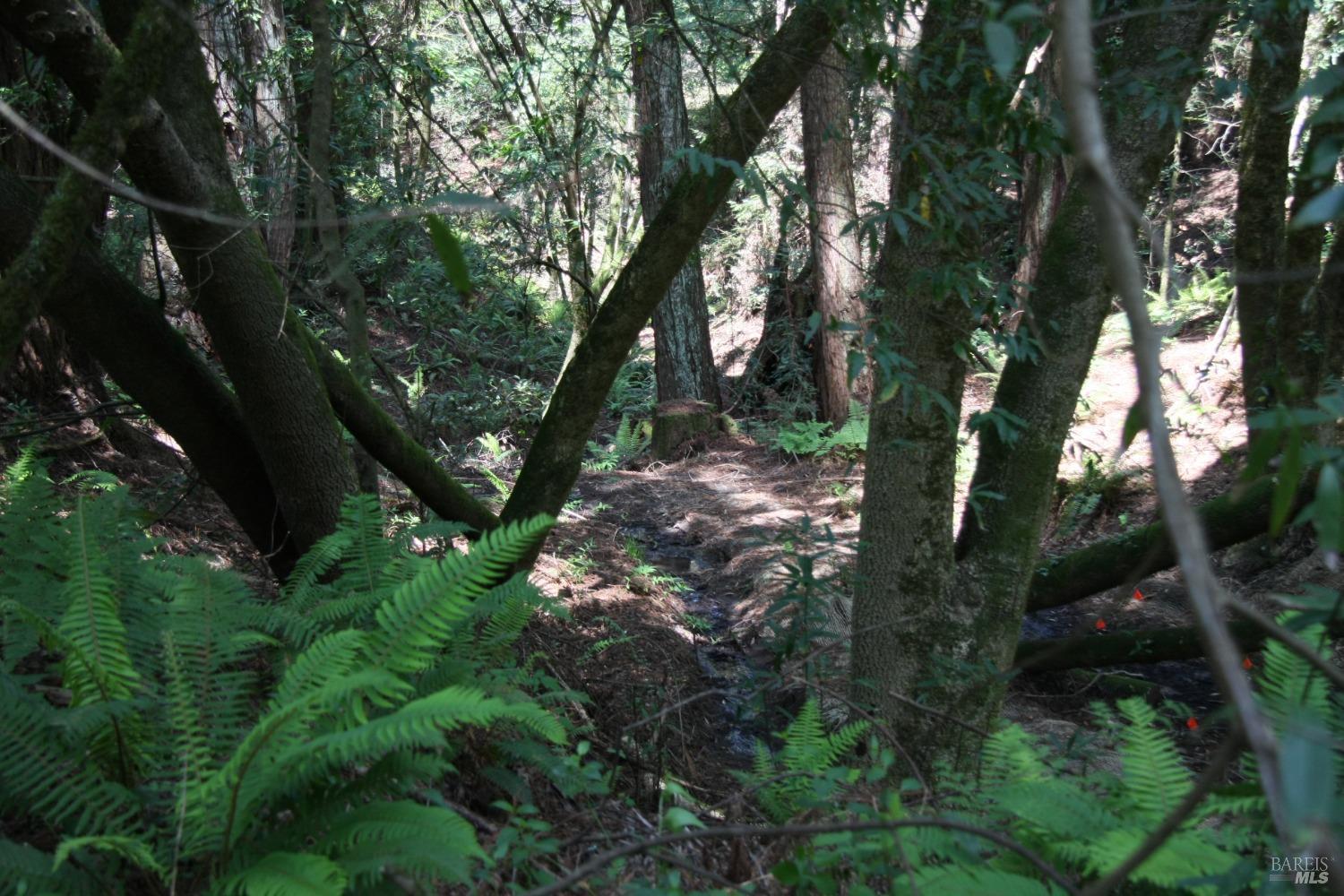 Detail Gallery Image 13 of 16 For 10966 Barnett Valley Rd, Sebastopol,  CA 95472 - – Beds | – Baths