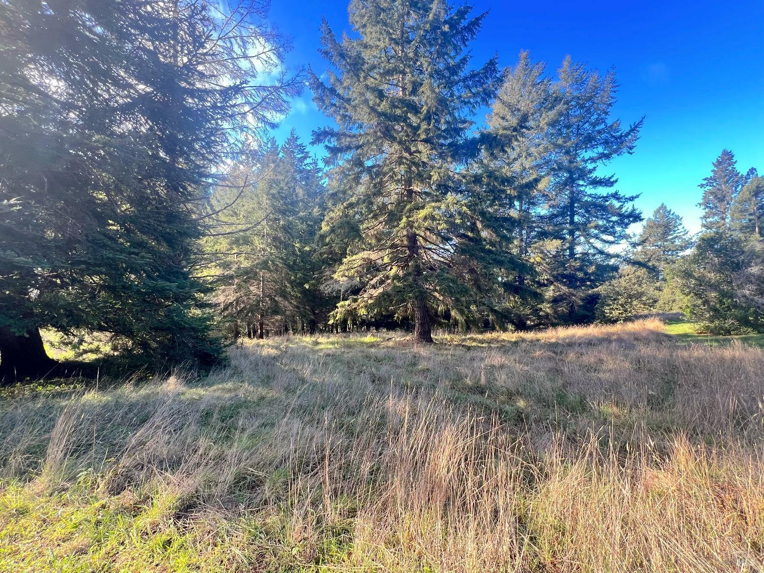 Front Image Thumbnail for BA325101378