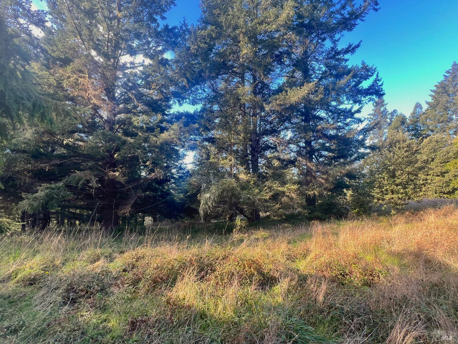 Detail Gallery Image 4 of 9 For 38065 Foothill Close Unkn, The Sea Ranch,  CA 95497 - – Beds | – Baths