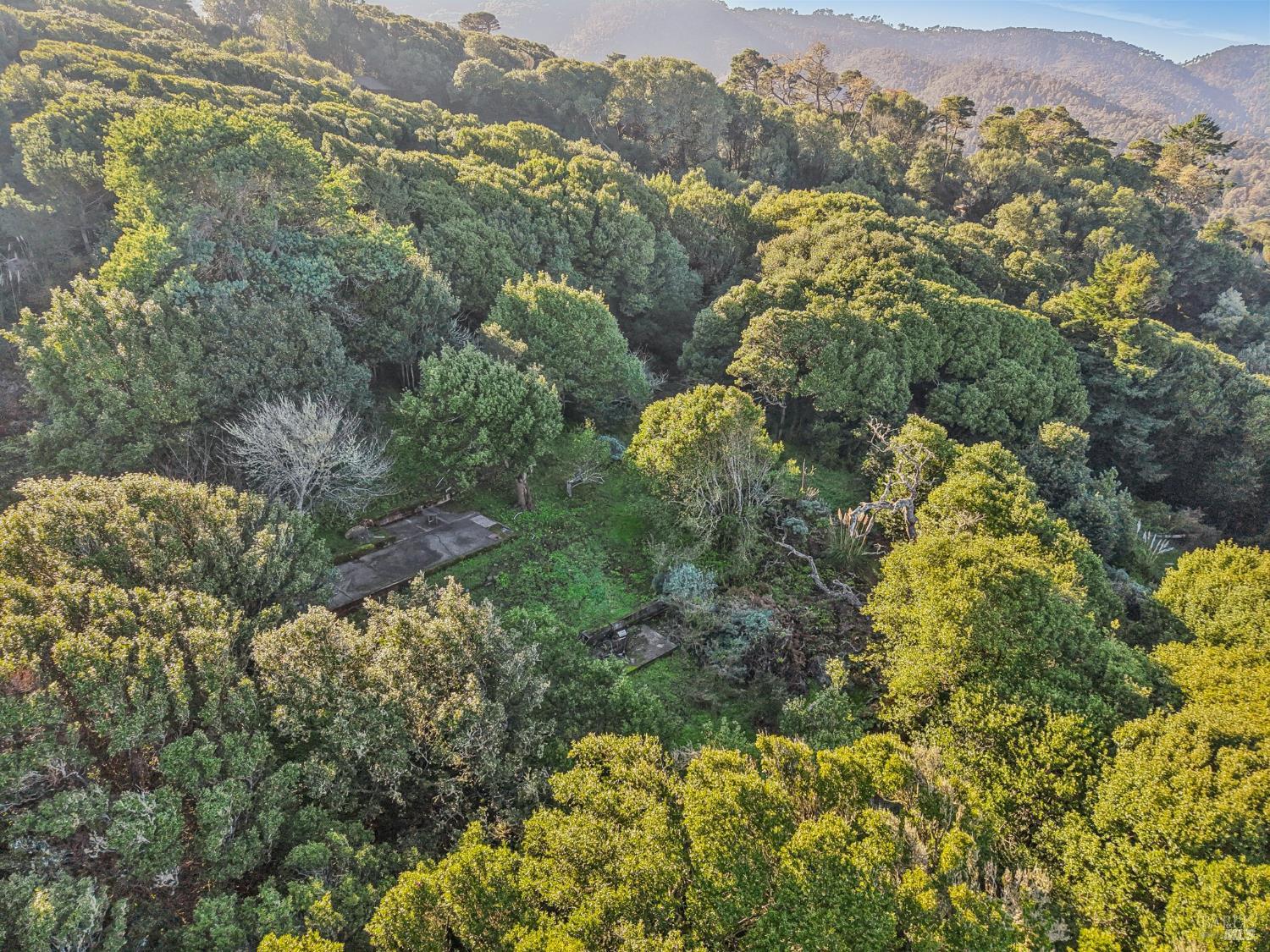 Detail Gallery Image 15 of 23 For 95 Highland Way, Inverness,  CA 94937 - – Beds | – Baths