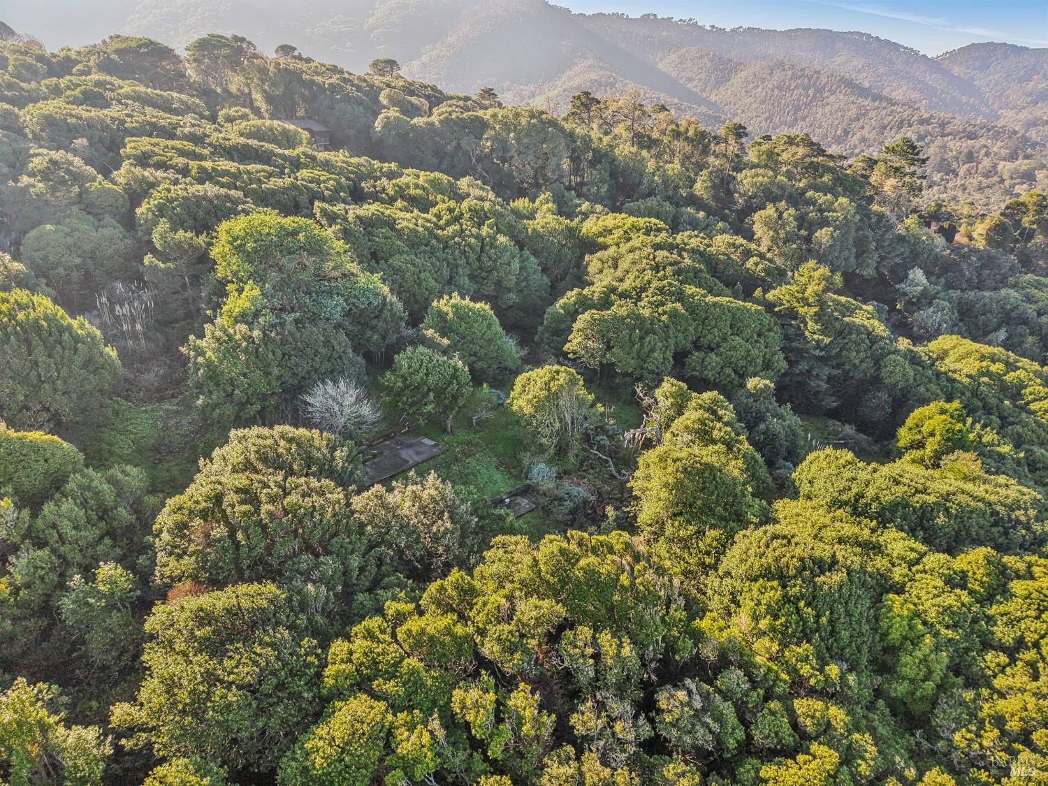 Detail Gallery Image 14 of 23 For 95 Highland Way, Inverness,  CA 94937 - – Beds | – Baths