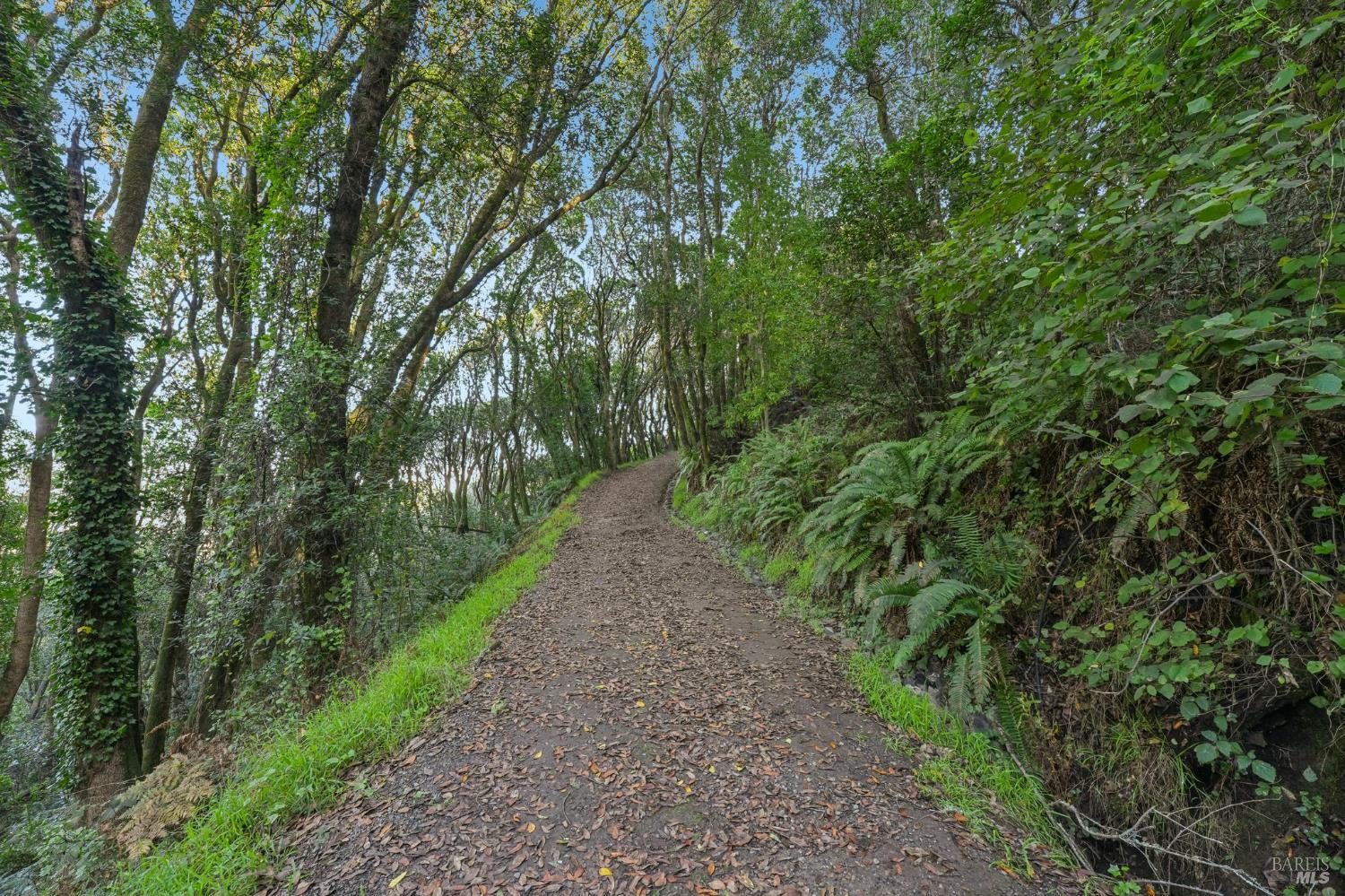 Detail Gallery Image 2 of 23 For 95 Highland Way, Inverness,  CA 94937 - – Beds | – Baths