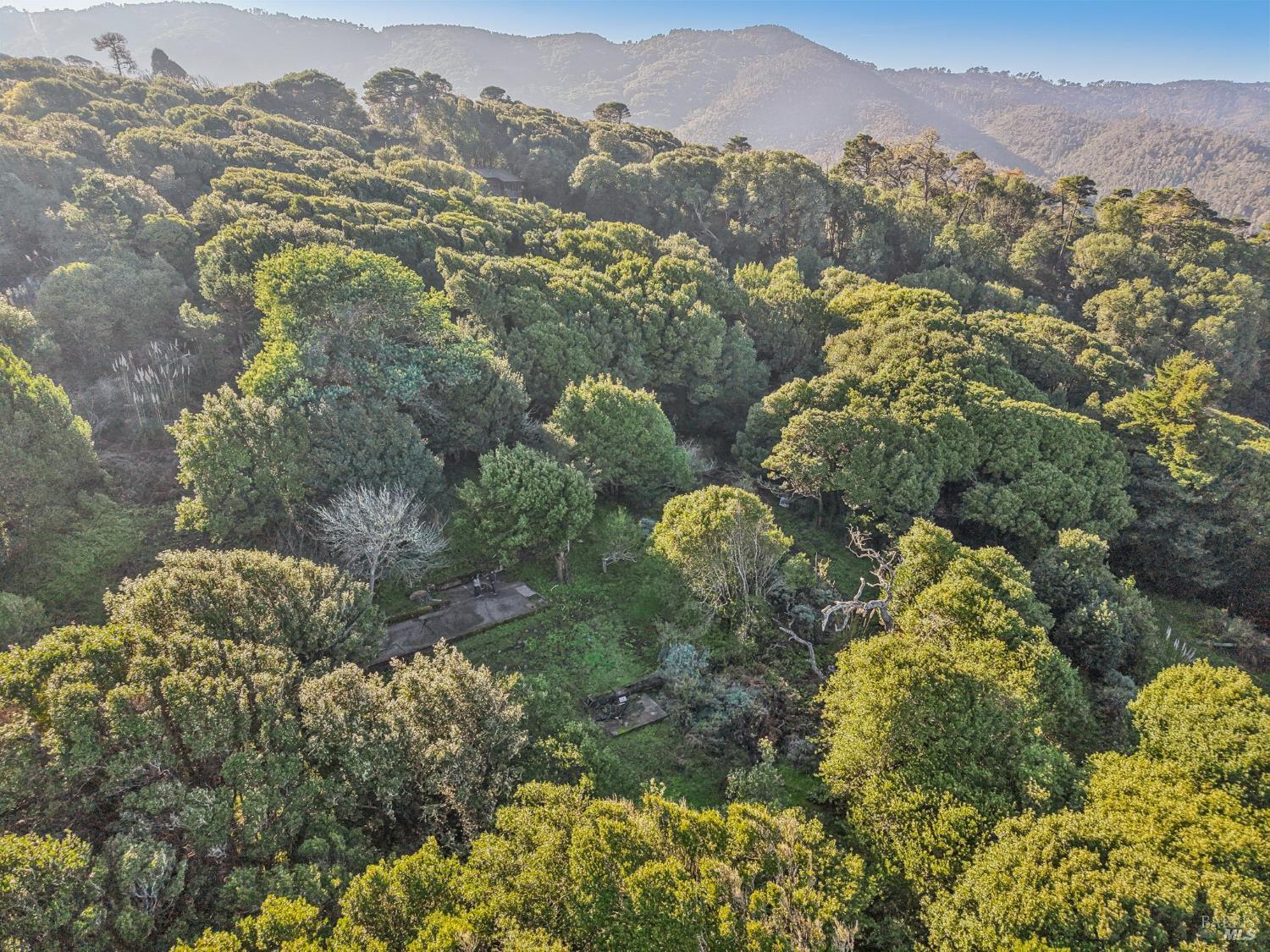 Detail Gallery Image 17 of 23 For 95 Highland Way, Inverness,  CA 94937 - – Beds | – Baths