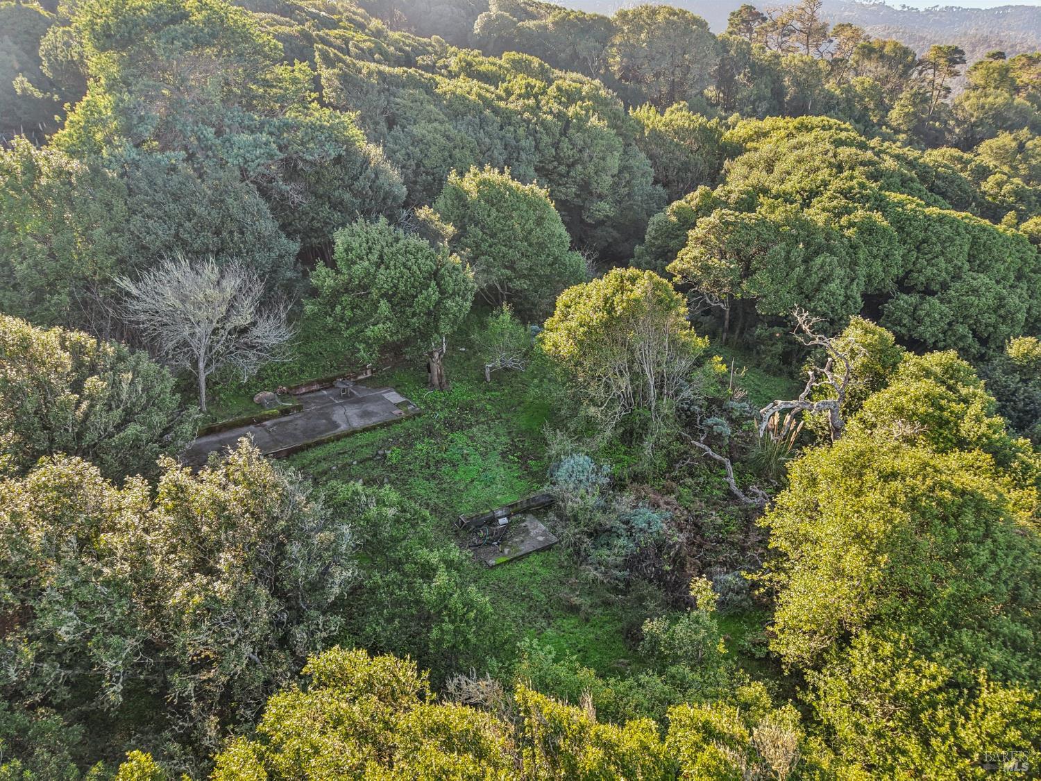 Detail Gallery Image 3 of 23 For 95 Highland Way, Inverness,  CA 94937 - – Beds | – Baths