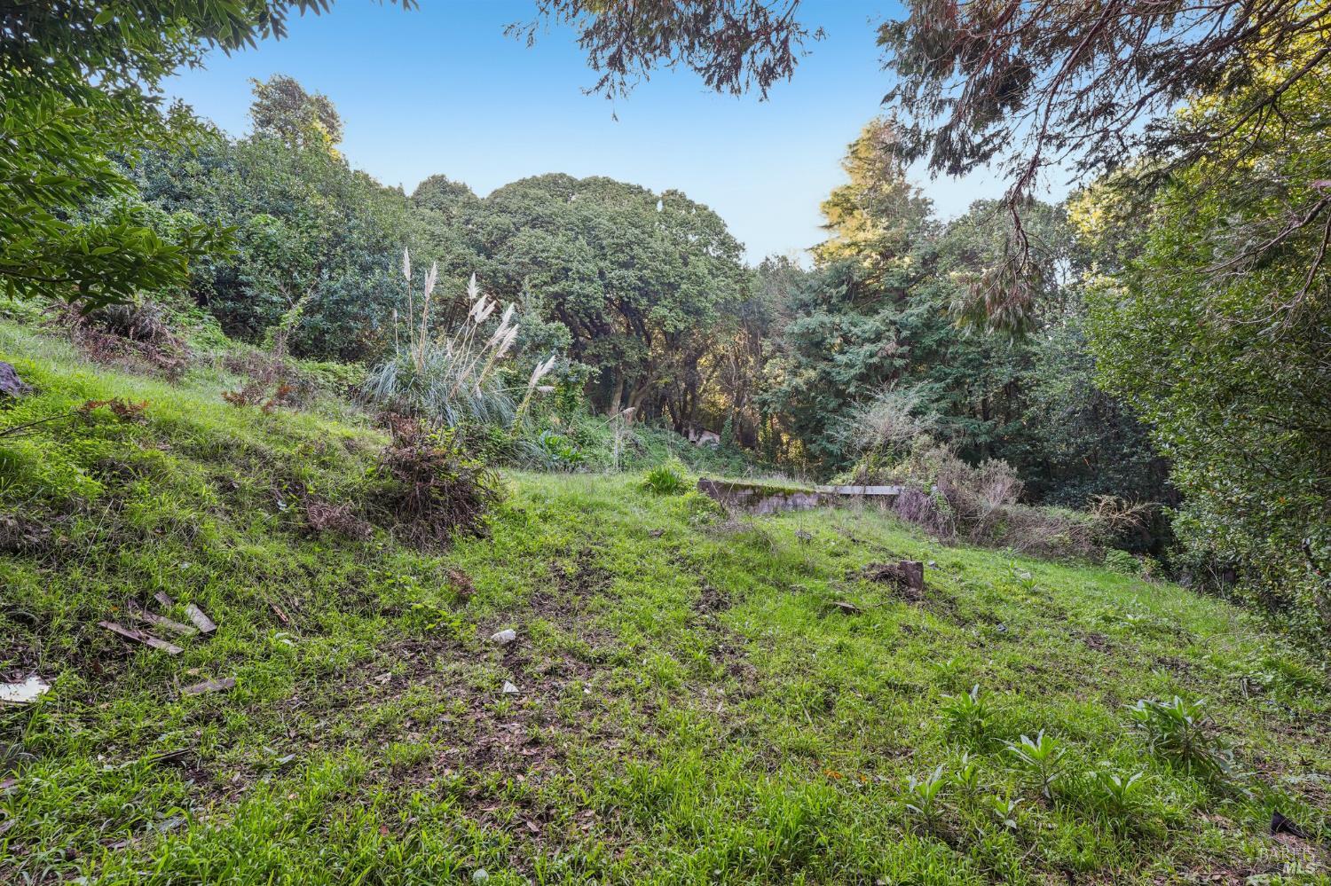 Detail Gallery Image 12 of 23 For 95 Highland Way, Inverness,  CA 94937 - – Beds | – Baths