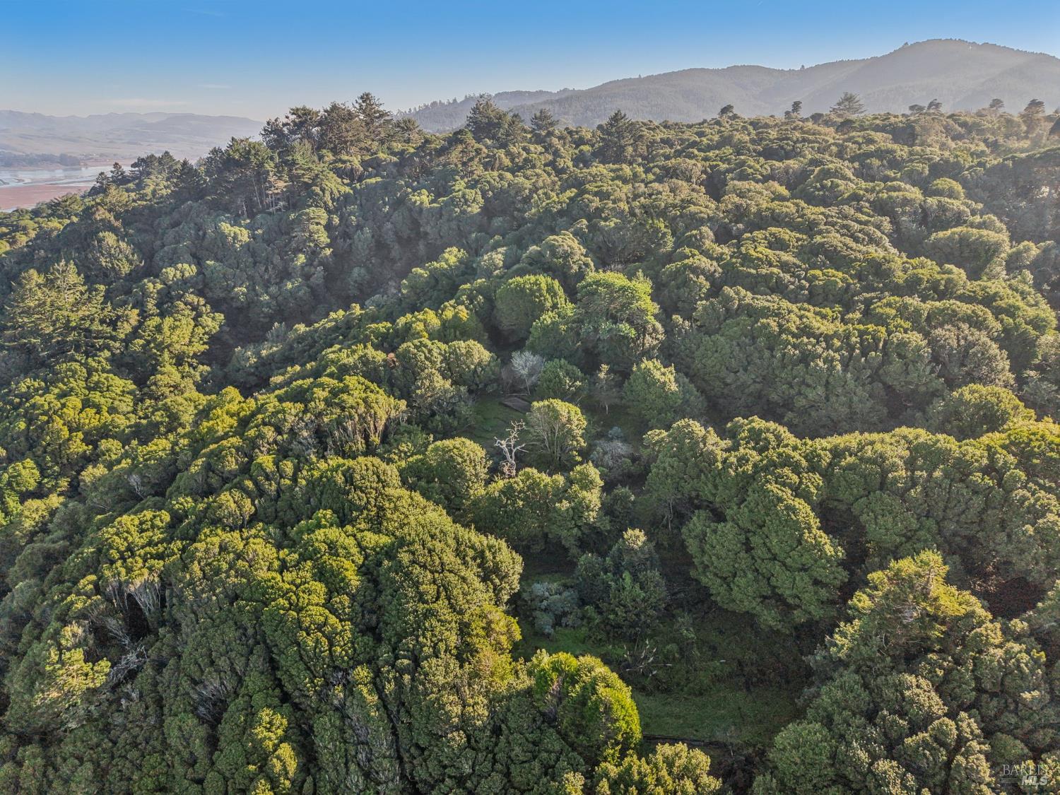 Detail Gallery Image 16 of 23 For 95 Highland Way, Inverness,  CA 94937 - – Beds | – Baths