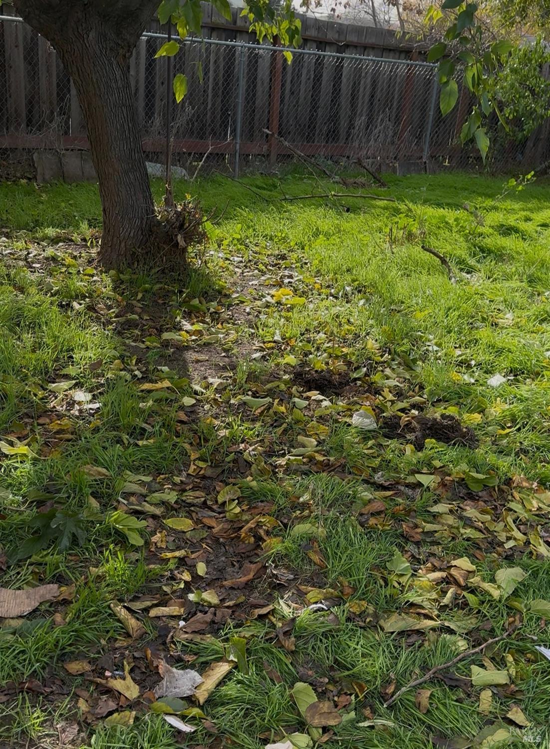 Detail Gallery Image 4 of 20 For 63 Poinsettia Ave, Bay Point,  CA 94565 - 2 Beds | 1 Baths