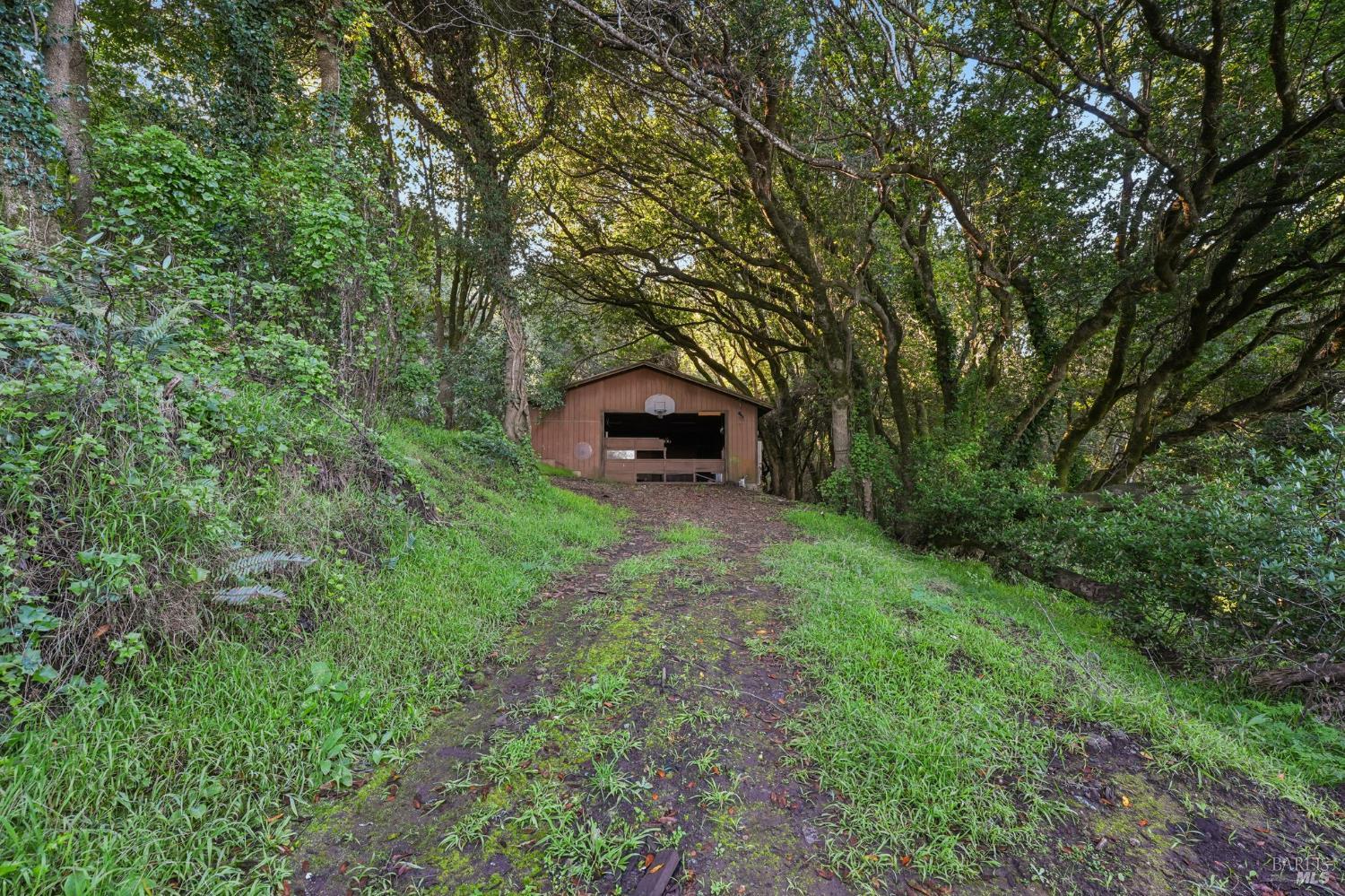 Detail Gallery Image 4 of 23 For 95 Highland Way, Inverness,  CA 94937 - – Beds | – Baths