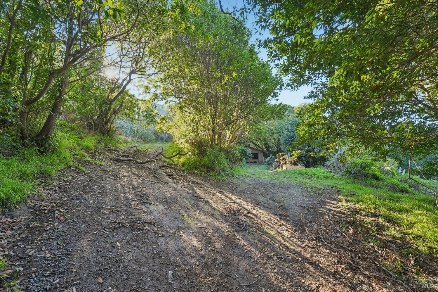 Detail Gallery Image 9 of 23 For 95 Highland Way, Inverness,  CA 94937 - – Beds | – Baths