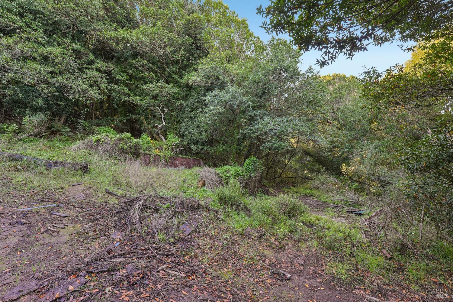 Detail Gallery Image 11 of 23 For 95 Highland Way, Inverness,  CA 94937 - – Beds | – Baths