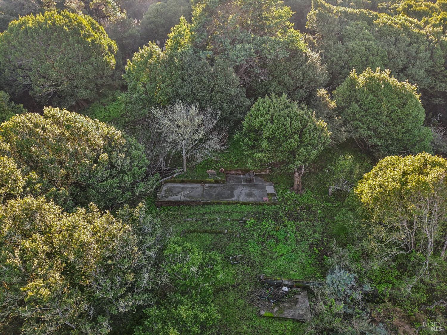 Detail Gallery Image 10 of 23 For 95 Highland Way, Inverness,  CA 94937 - – Beds | – Baths